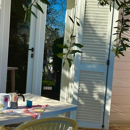 Palme 10 - Marcelli, Bilocale Con Doppio Giardino, Le Palme *